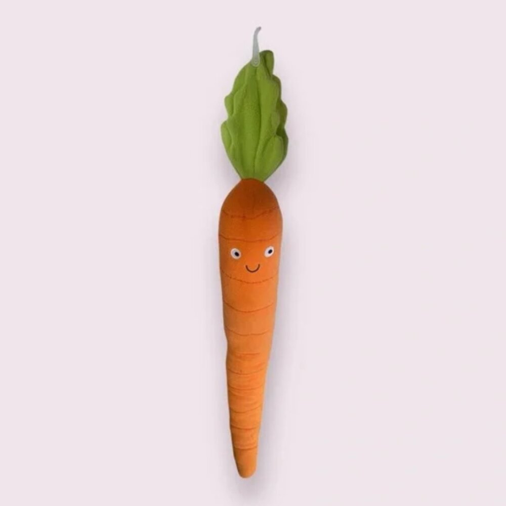 Long Carrot Dog Toy
